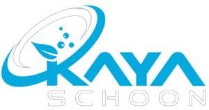 Kaya Schoonmaak